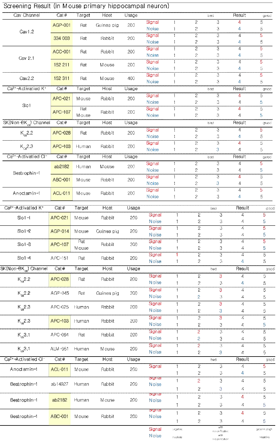 마우스 초대배양 해마신경세포에서 면역염색을 통한 검증한 항체 선별 리스트