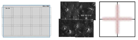 모자이크 방식의 대영역 이미징과 전자빔에 의한 조직 손상 최소화. 주사전자현미경 기반의 모자이크 방식 이미징 시 타일이 겹치는 곳에 전자빔이 여러 번 조사되면서 시료의 표면 손상으로 인한 이미지 왜곡현상 발생 가능