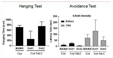 TELC 또는 GFP를 주입한 치랑핵 도파민 신경세포 활성 억제모델에서 Hanging test와 Avoidance test 결과