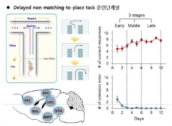 의사결정 훈련단계별 뇌영역의 유전자 공발현 연구