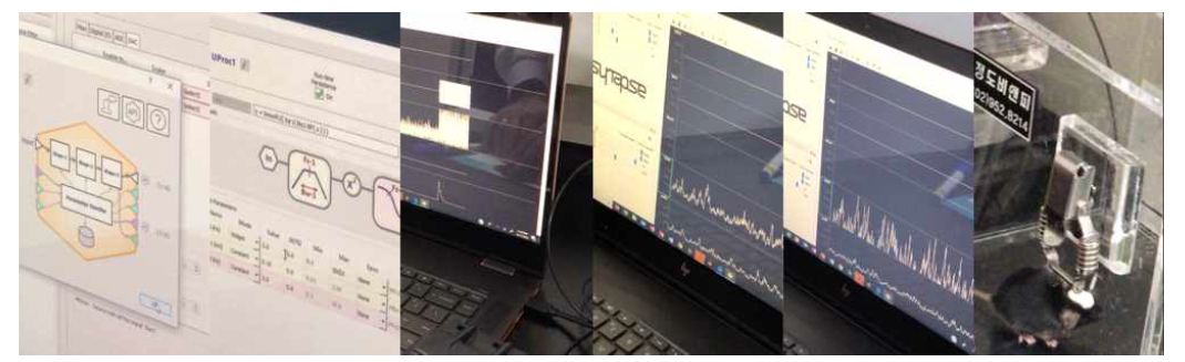 single-site fiber photometry