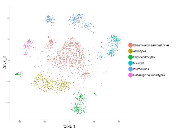 단일 신경세포 특이적 전사체 분석을 통한 전전두엽의 신경세포들의 유형별 clustering 결과