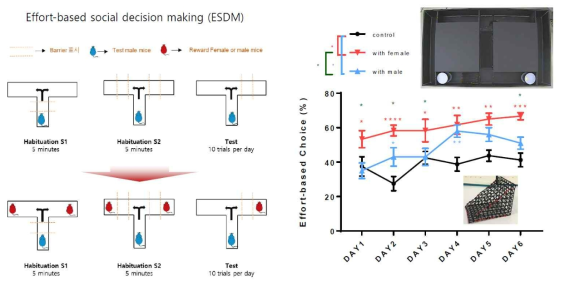 Effort-based social decision making (ESDM)