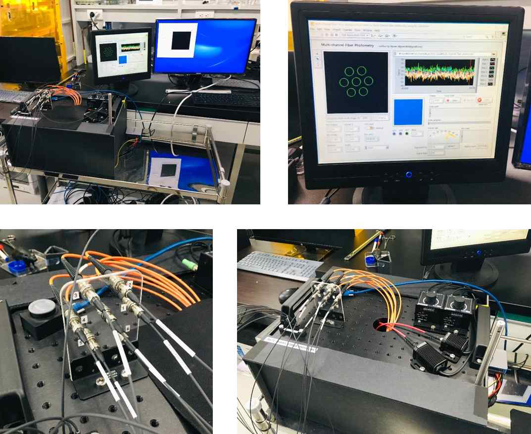 Multi-site fiber photometry 장비