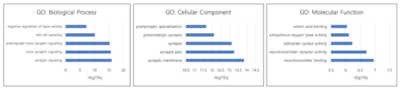 NAc 조직에서 검출된 DEG들의 gene ontology 분석 결과