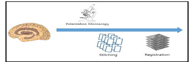 Stitch와 Align 파이프라인 개발을 위한 구조도