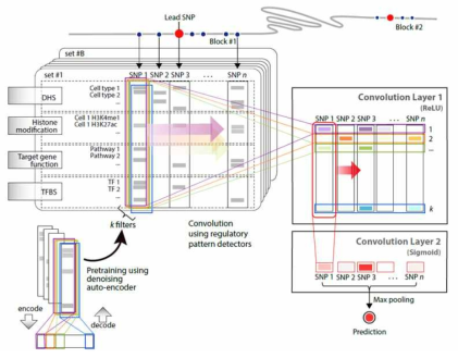 딥러닝을 이용해 causal SNP를 찾는 도식도