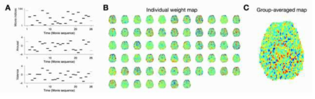 개인별/전체 감성지능지도 추출. (A) 실험자극에 의해서 결정되는 감정변화. (B) 각성도를 설명하는 각 단위복셀별 weight맵을 개인별로 모두 구할 수 있음. (C) 각성도의 weight 맵의 평균. 각 weight의 통계적 유의미성은 1-side t-test로 평가되었음 (p<0.001, uncorrected)