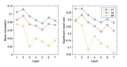 기본 시각 처리 영역 (V1, V2, MT)과 기계학습의 변수 사이의 상관관계 변화. 높은 층의 변수일수록 초기 시각피질의 활동에 대한 전반적인 예측력이 떨어지고 (왼쪽) 유의미한 영역도 감소함 (오른쪽)