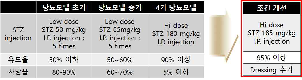 당뇨성 만성창상 동물모델 조건 최적화