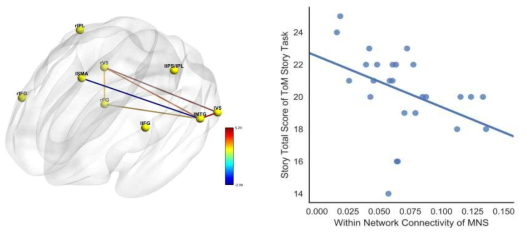 조현병 환자에서 거울신경구조망의 이상과 거울뇌기능회로망과 정신화기능 뇌기능 회로망의 연결의 이상이 분석됨(왼쪽). 거울신경구조망의 이상은 사회적 인지기능의 이상과 밀접한 관계가 있음(오른쪽)