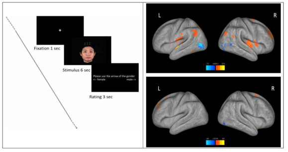 실험 절차(좌), Fixation과 얼굴 표정간 대조 (우상), 긍정-부정 표정간 대조 (우하)