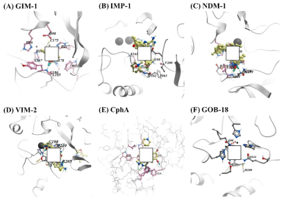 Docking-predicted binding modes of (A) GIM-1, (B) IMP-1, (C) NDM-1, (D) VIM-2, (E) CphA, and (F) GOB-18 with 33 compounds throughout the fragment-based screening