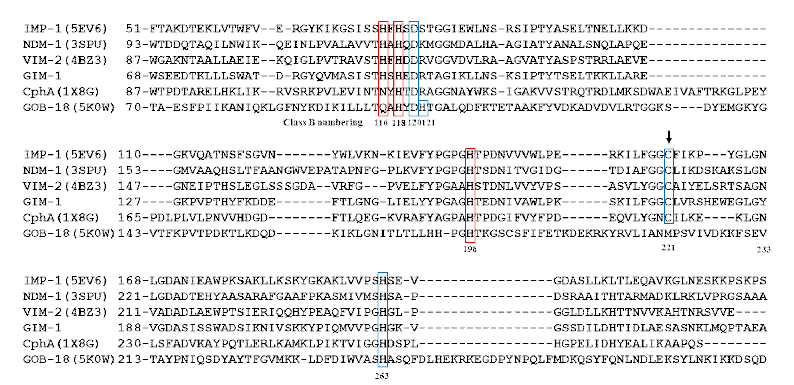 Structure-based sequence alignment of the IMP-1 structure (PDB accession no. 5EV6) with five crystallographic structures of NDM-1 (PDB accession no. 3SPU), VIM-2 (PDB accession no. 4BZ3), CphA (PDB accession no. 1X8G), GOB-18 (PDB accession no. 5K0W), and GIM-1. The conserved Zn1 and Zn2 binding residues belonging to metallo-β-lactamases are boxed in red and blue, respectively. The conserved cysteine residue is indicated by an arrow