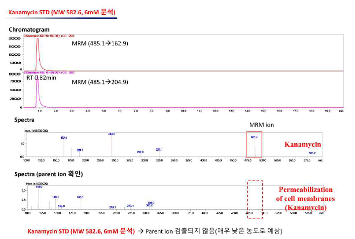 Analysis of Gram-negative outer membrane (E. coli　harboring blaNDM-1) permeability for kanamycin (negative control)