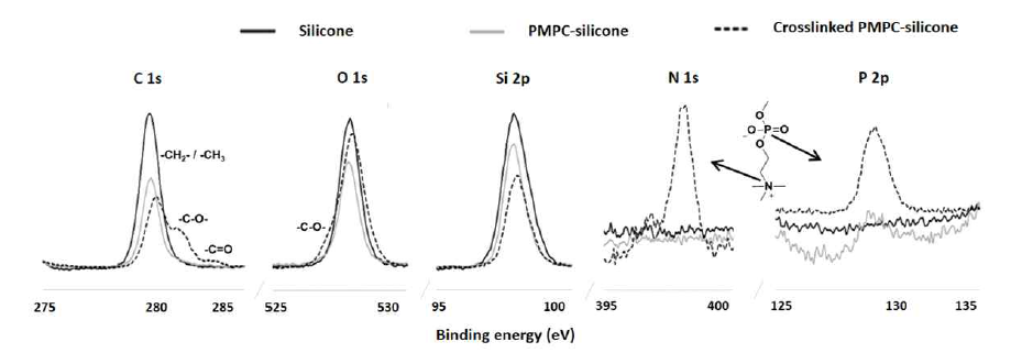 코팅에 따른 실리콘 표면의 XPS