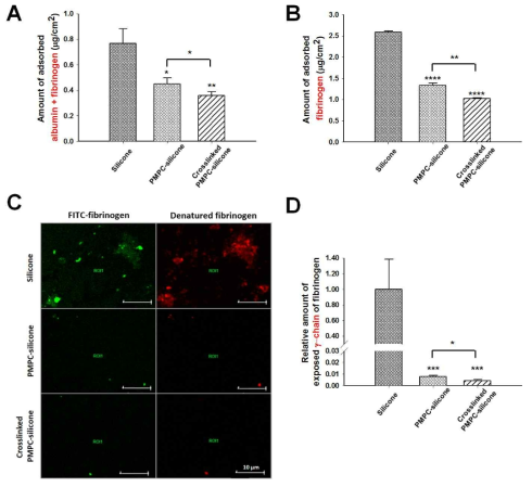 알부민과 피브리노겐 흡착실험 결과(A,B)와 공초점현미경 결과(C,D)