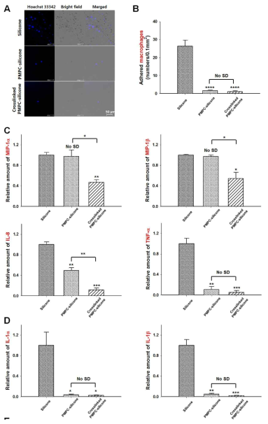 단핵구에서 분화한 거식세포의 각 실리콘 표면에서 점착실험 결과 (A,B), chemokine 정량 (C), cytockine 정량 (D)