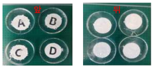 앞(front), 뒷면(back)이 구분된 PDMS plate (지름 15 mm, 두께 3 mm)