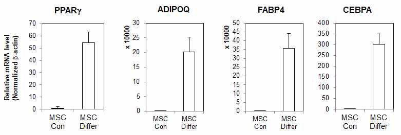 지방분화 특이적 발현유전자 확인 (Real time PCR , Con: 대조군 / Differ: 지방 분화 )