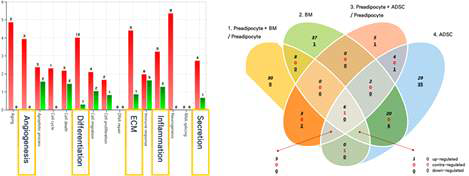 Protein array 분석