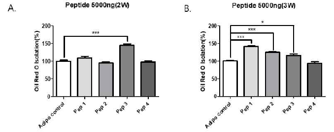 4종의 후보 펩타이드의 지방분화 유도능 검증 A. 처리 2주후 B. 처리 3주후 (Oil Red O 염색 정량화)