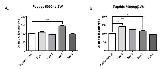 4종의 후보 펩타이드의 지방분화 유도능 검증 A. 처리 2주후 B. 처리 3주후 (Oil Red O 염색 정량화)