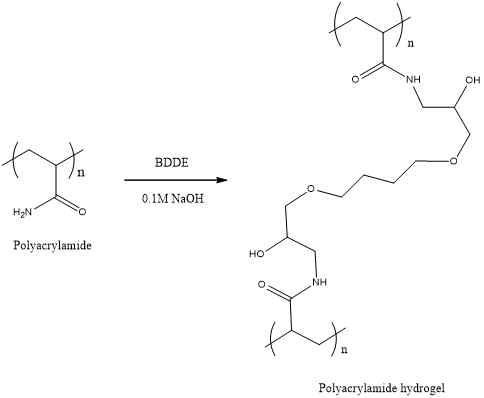 Poly(Am)-BDDE hydrogel