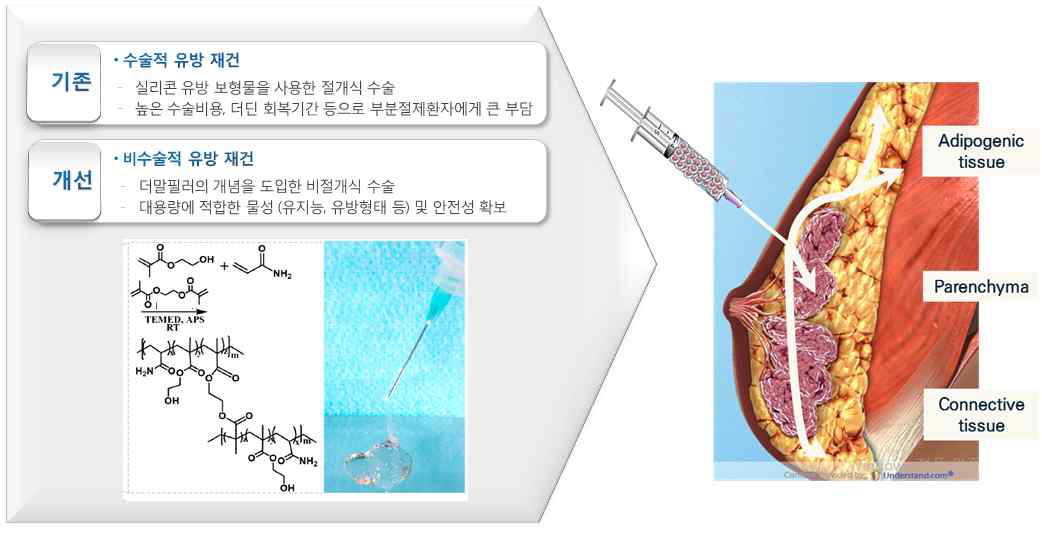 연구개발 개념도 및 목적