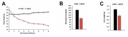 (A) 정상 식이(RC)와 메치오닌-콜린 결핍 식이 (MCD) 8주간 시행한 마우스 체중 변화 (B) RD와 MCD를 8주간 먹인 후 채취한 혈액 혈당량 (C) RD와 MCD를 8주 먹인 마우스의 간무게