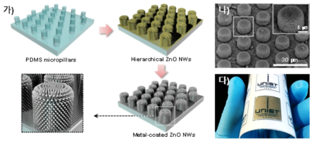 생체모사 계층 구조 ZnO 나노와이어 어레이 제작. 가) 실리콘 고무 (PDMS) 마이크로 기둥 어레이 위로 금속 코팅된 ZnO 나노와이어 어레이 계층 구조 제작 과정 모식도, 나) ZnO 나노 와이어 어레이의 주사전자현미경 사진. 다) 높은 유연성과 투명한 특성의 금속 코팅된 계층 구조 ZnO 나노와이어 어레이 기판 사진. (Adv. Funct. Mater., 2015, 25, 2841-2849)