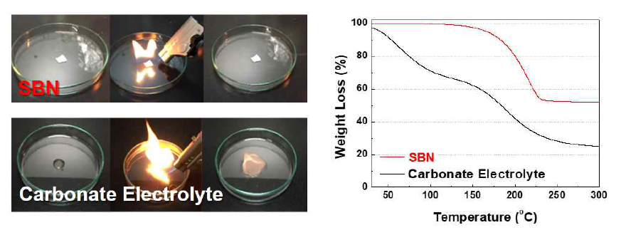SBN 기반 고분자 전해질의 비 인화성 성능 결과 및 TGA 그래프