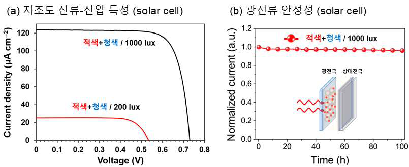 이중 염료 기반 광전변환 소자의 (a) 전류-전압 특성, (b) 광전류 안정성