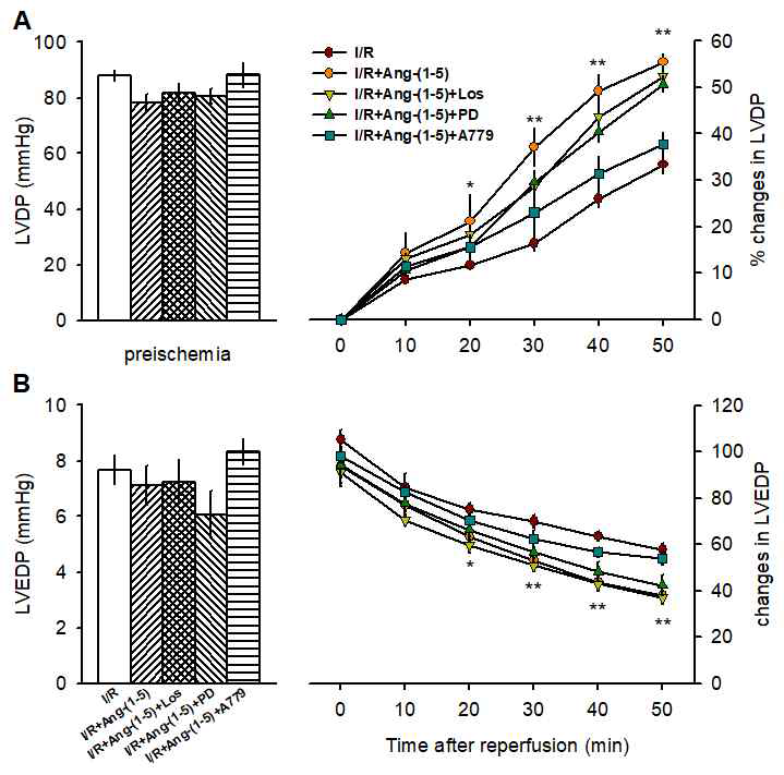 Ang-(1-5) 전처리가 허혈 후 재관류에 의한 +dp/dt(A)와 –dp/dt(B)의 변동에 미치는 영향