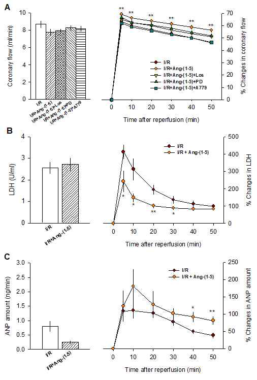 Ang-(1-5) 전처리가 허혈 후 재관류에 의한 관상동맥 관류량(A), Lactate dehydrogenase(LDH, B), ANP 양(C) 에 미치는 영향