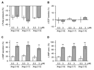 Ang-(1-9), Ang-(1-7) 그리고 Ang-(1-5)가 박동 심방관류 모형에서 ANP 분비에 미치는 영향