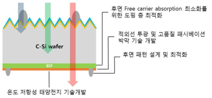 적외선 투과형 실리콘 태양전지 개발 개요