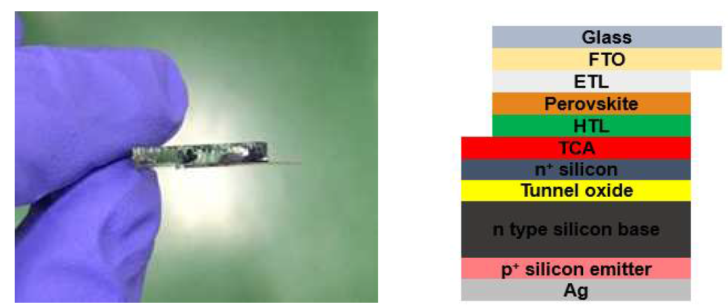 페로브스카이트-실리콘 접합 태양전지 소자와 구조