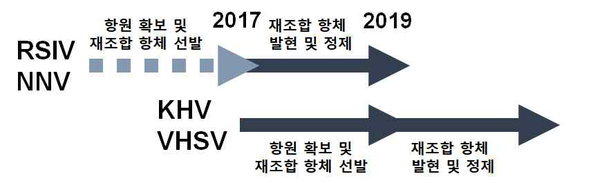 Phage 및 yeast surface display를 이용한 재조합 scFv 항체 선발 과정