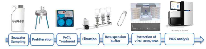 해양바이러스 NGS 분석 과정 모식도