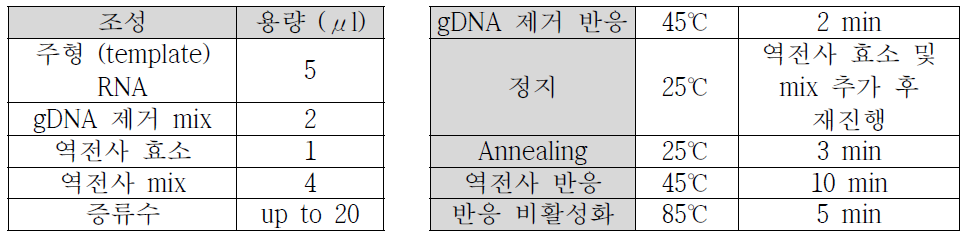 Reverse-Transcription PCR 조성물, 반응시간 및 반응온도