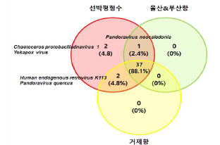 선박기원 감염성 바이러스 종 분석