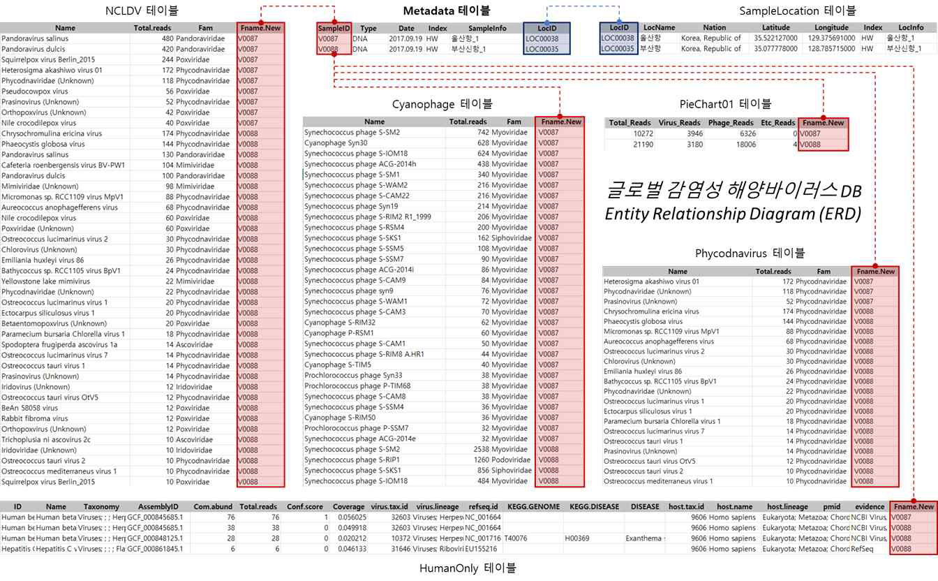 글로벌 감염성 해양바이러스 병원체 DB 데이터모델(ERD) 일부 예시