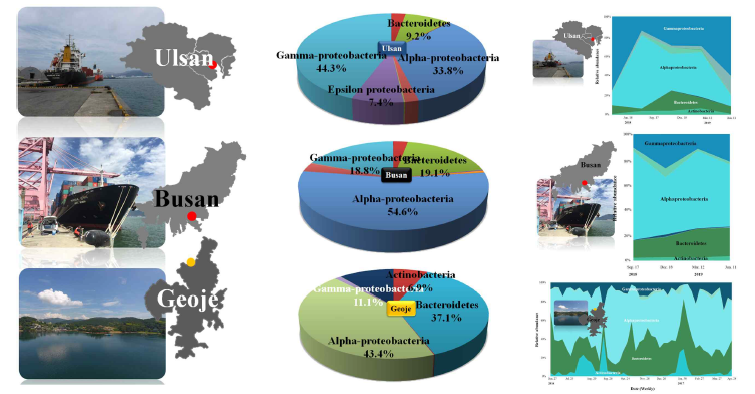 울산항, 부산항, 거제 장목만에서 박테리아 군집의 변화