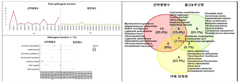 선박평형수 및 국내 항만 출현 병원성 박테리아