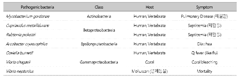 출현 병원성 박테리아 목록 및 특성 분석