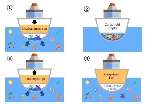선박평형수를 통한 해양병원체의 이동