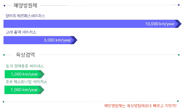 해양바이러스와 육상병원체의 전파 속도 비교 (출처 : 한국해양과학기술원 홈페이지)