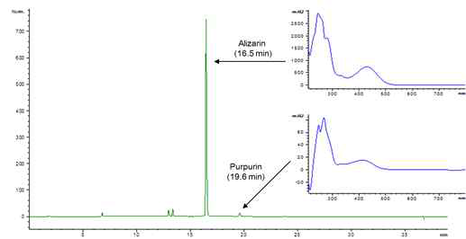 Red 1의 HPLC 크로마토그램과 DAD UV 스펙트라