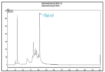 Pomegranate의 HPLC 크로마토그래피